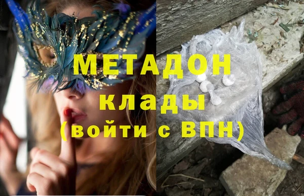 прущие грибы Абинск