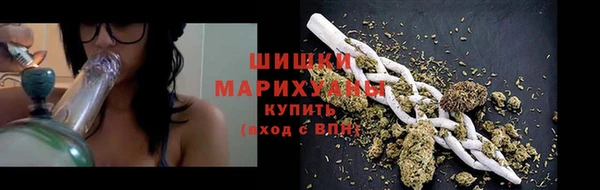 прущие грибы Абинск