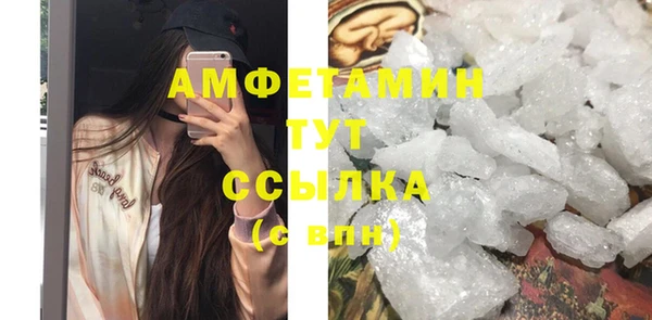 прущие грибы Абинск