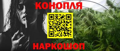 стаф Гудермес