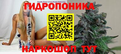 стаф Гудермес