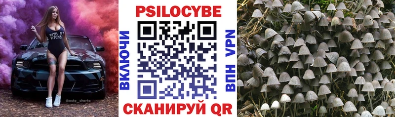 Псилоцибиновые грибы GOLDEN TEACHER  KRAKEN ССЫЛКА  Красноперекопск  где купить  