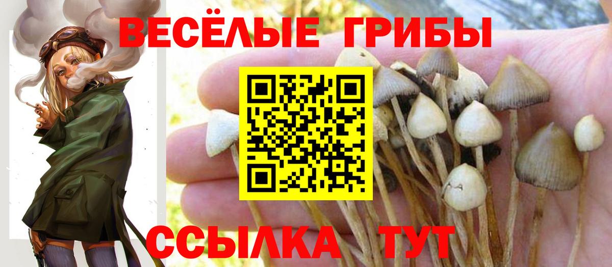 Галлюциногенные грибы мицелий  дарнет шоп  Красноперекопск  Галлюциногенные грибы мицелий  Вход с VPN 