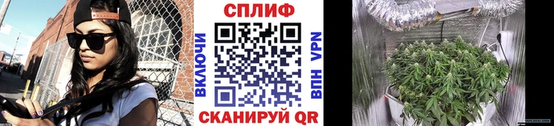 Бошки Шишки VHQ  Красноперекопск 